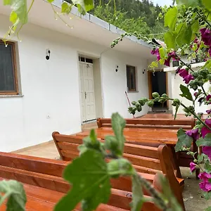 https://maldin-lokthi.albaniahotels.org