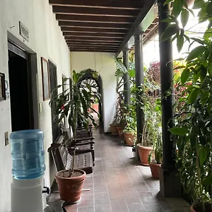 https://hotel-spring.guatemalaantiguahotels.com